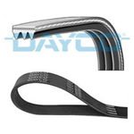 DAYCO Cinghia Poly-V 3PK915