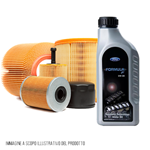 Kit tagliando auto, kit quattro filtri e 4 litri olio motore Ford Motorcraft 5W30 (KF0020/fo)